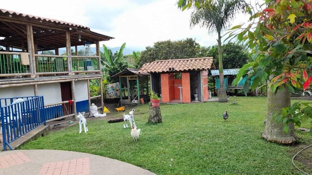 فينكا هوتل لا بيرلا المنطقة الخارجية