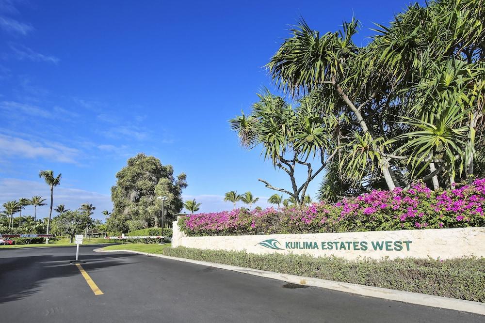 تيرتل باي ويكيد واهيني***تي إيه 129213644801 - تو بيد روم كوندو باي ريدونينج المنطقة المحيطة بالمنشأة