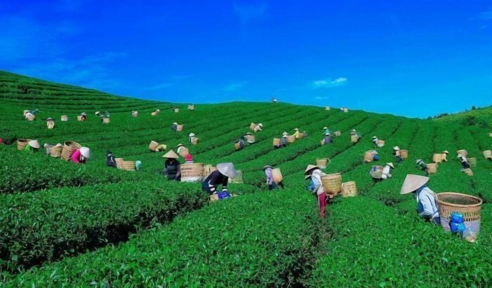 ذا تروبيكانا بلا فيليدج هوتل المنطقة الخارجية