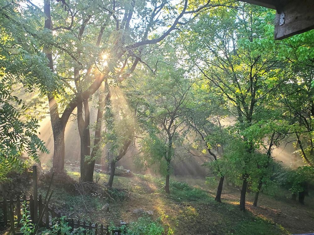 5 Ojo Inn Bed and Breakfast Exterior