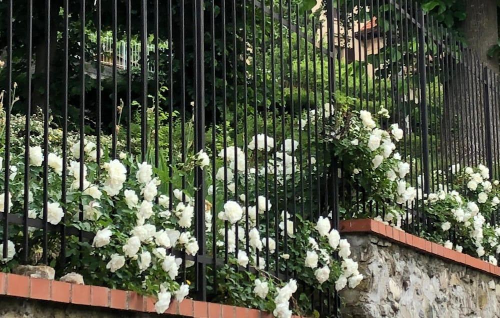 A o Soâ B&B Property Grounds