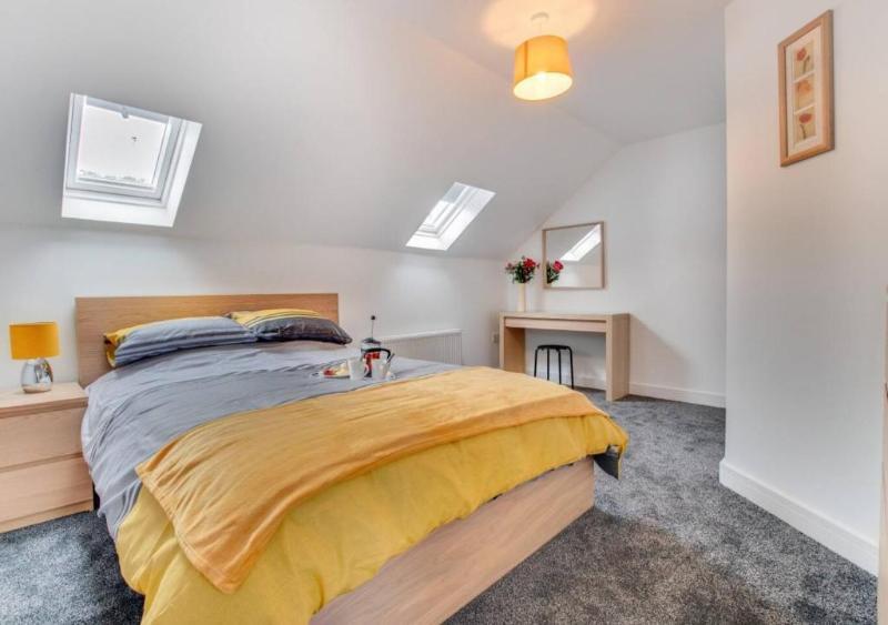 ابارتمنتس اين سكينينغروف باي بيلفيلا الصورة الأساسية