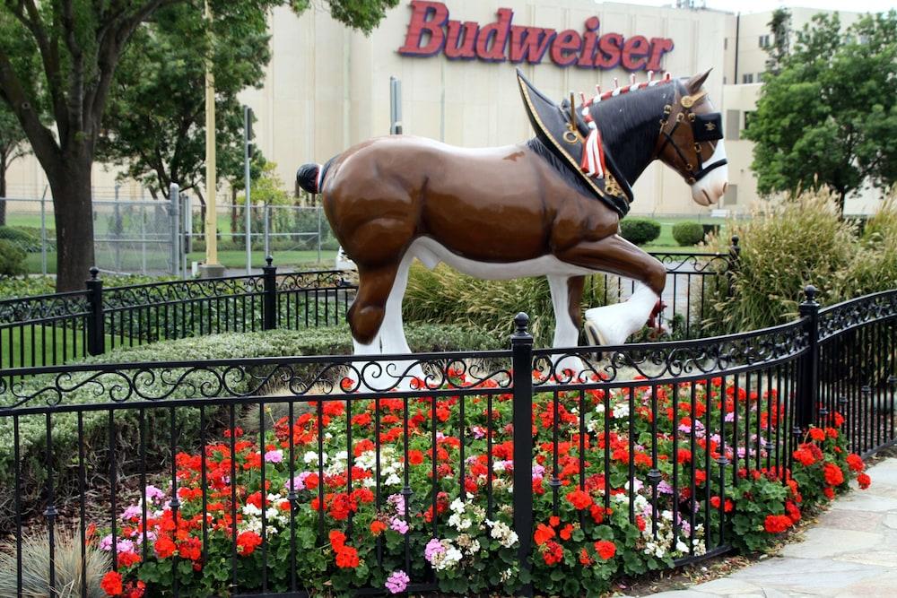 هامبتون إن آند سويتس سويصن ستي ووتر فرونت المنطقة الخارجية