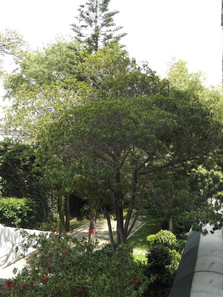 أوتل بدريجال بالاس المنطقة المحيطة بالمنشأة