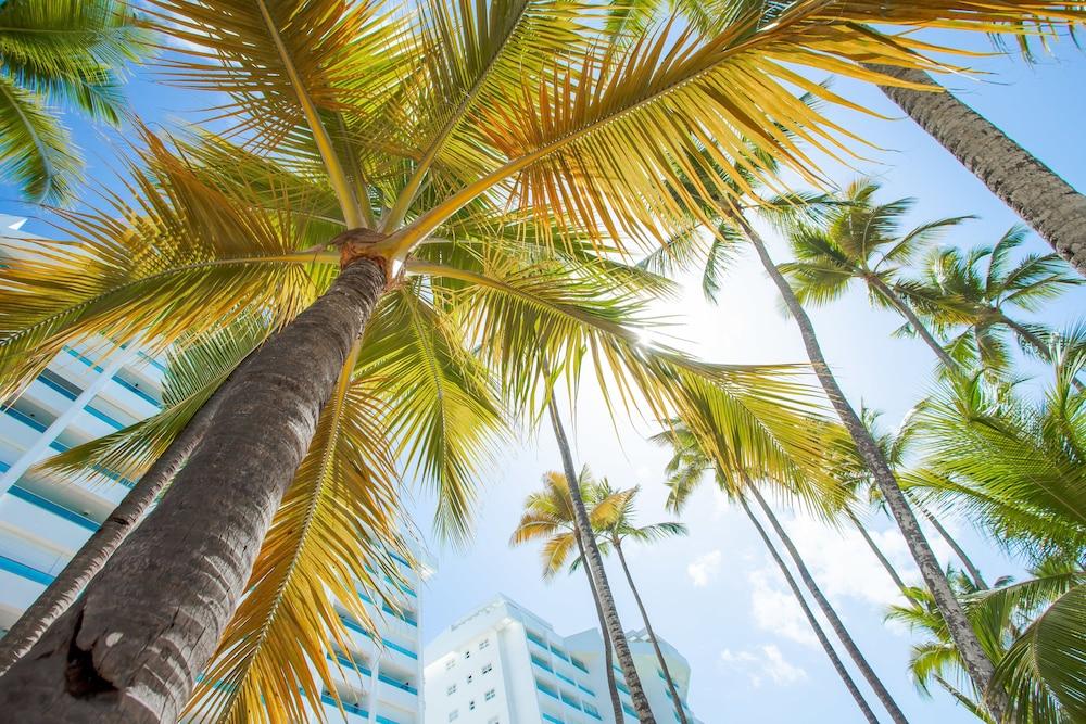 Xeliter Marbella - Free WiFi Exterior