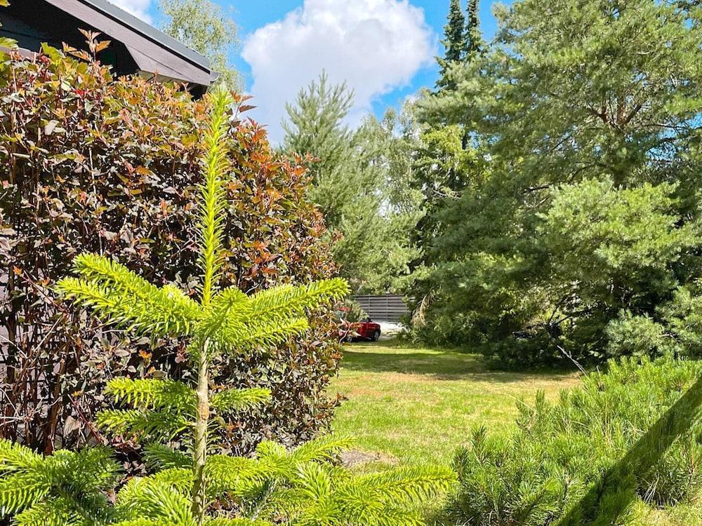 4 بيرسون هوليداي هوم إن بيدينجستراند باي تراوم المنطقة الخارجية