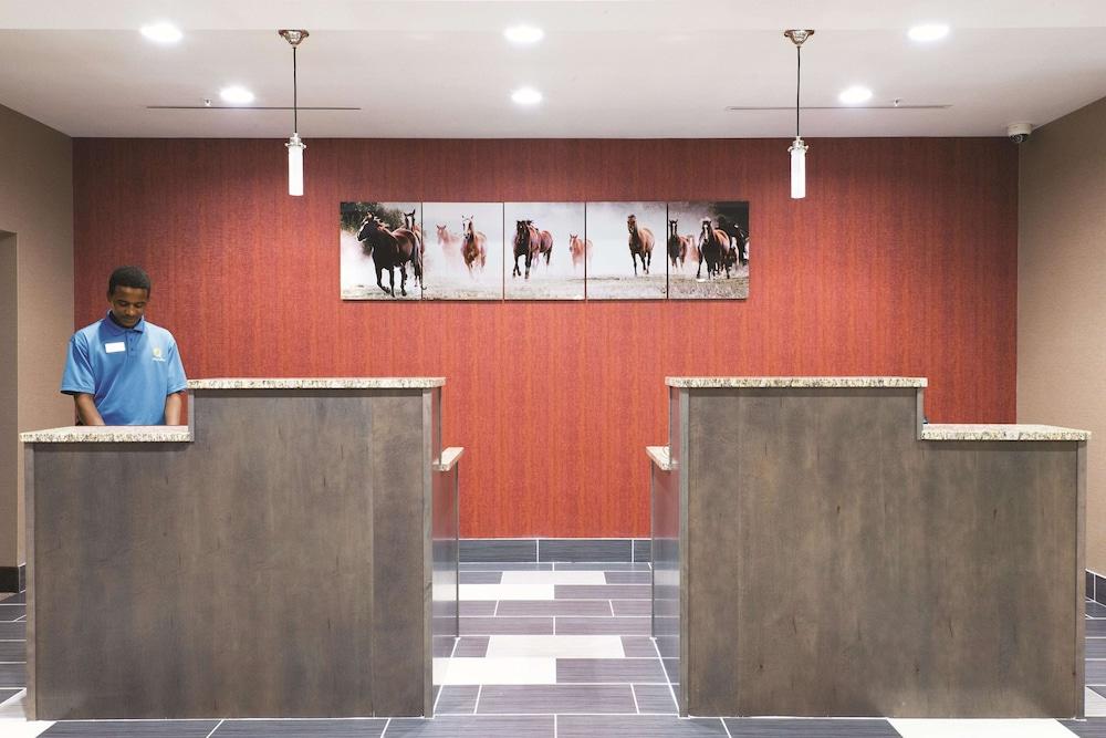 لا كينتا إن آند سويتس باي ويندام بادوكا الردهة