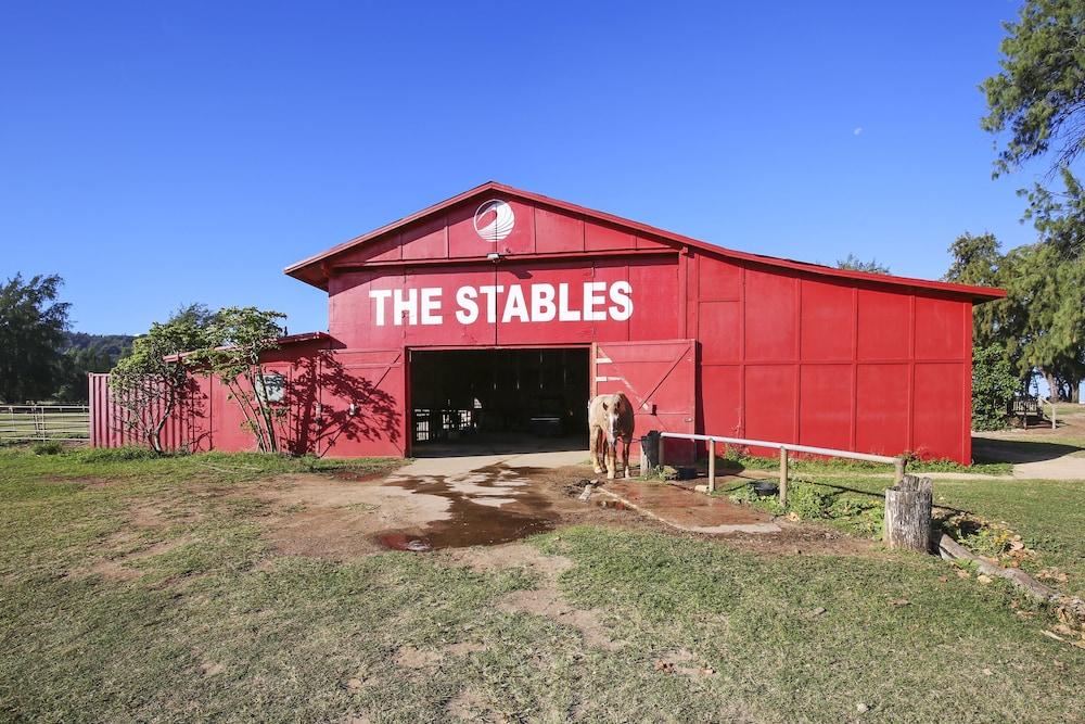 تيرتل باي ويكيد واهيني***تي إيه 129213644801 - تو بيد روم كوندو باي ريدونينج المنطقة الخارجية