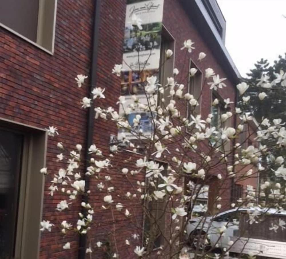 بد آند بريكفاست جان فان جينت المنطقة الخارجية