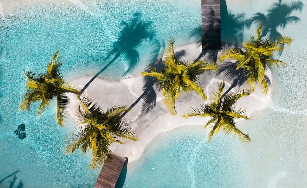 تشويزي ليس بينز ويذ لوف المنطقة الخارجية