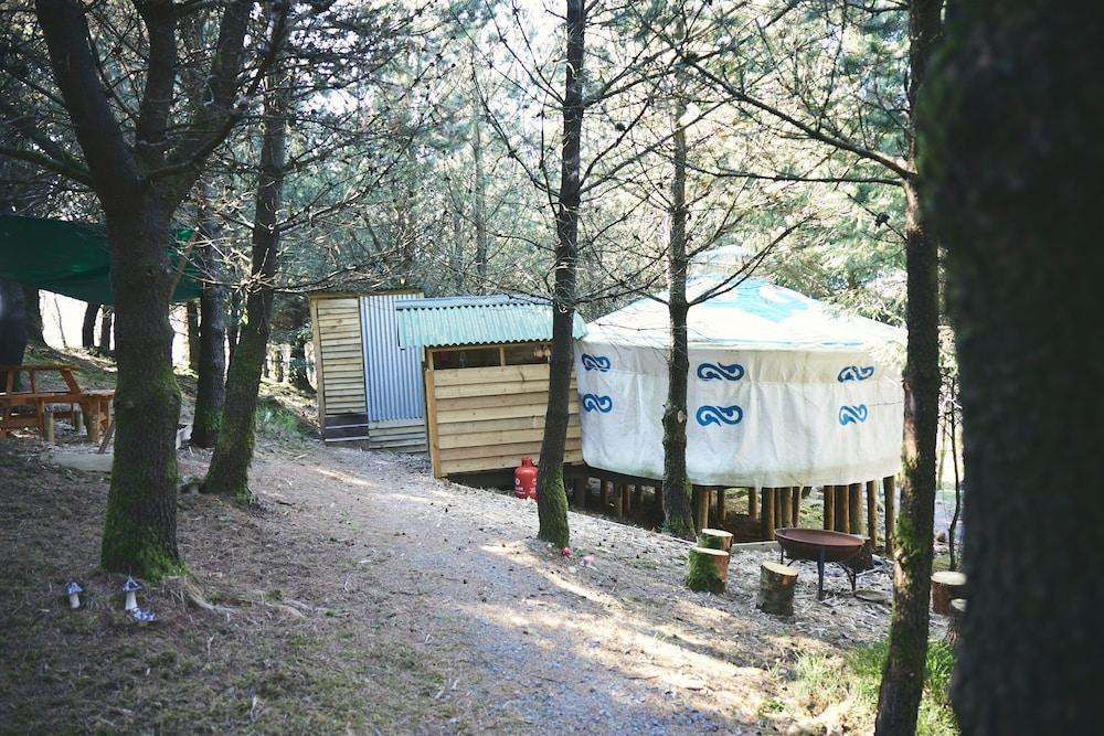 Mushroom Yurt set in 4 Acres of Woodland and Lakes