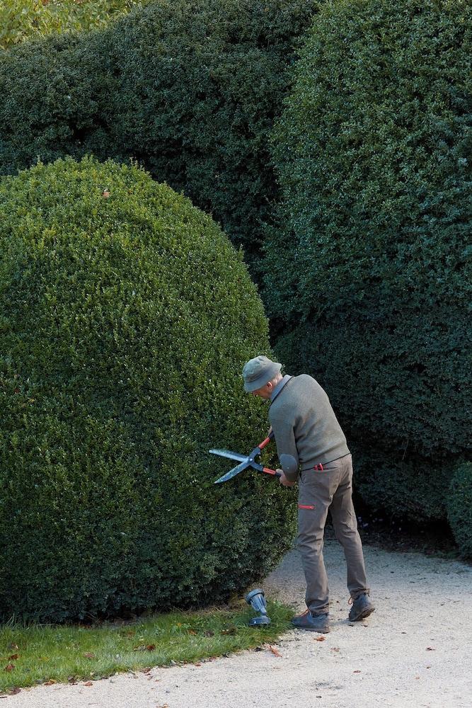 دوماين دو برايمارد - فونتينيل كوليكشن المنطقة الخارجية