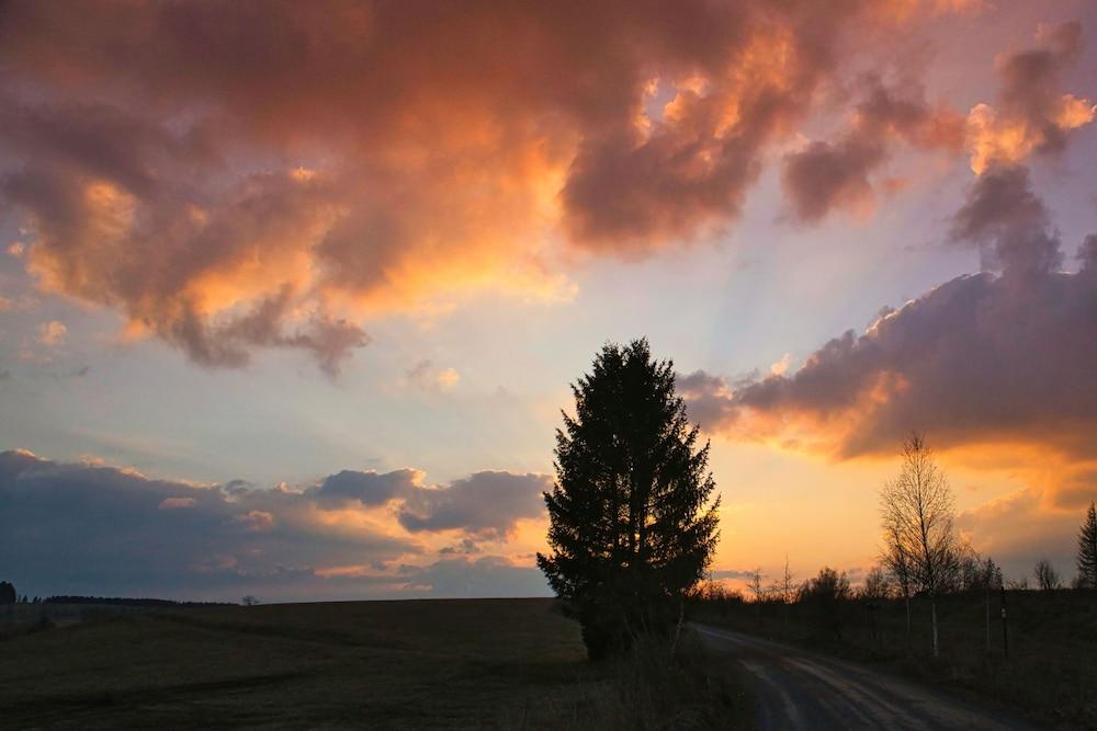 هاوس 54 أور هوليداي هوم إن هاسلفيلد إن ذا هارز ماونتنز المنطقة الخارجية