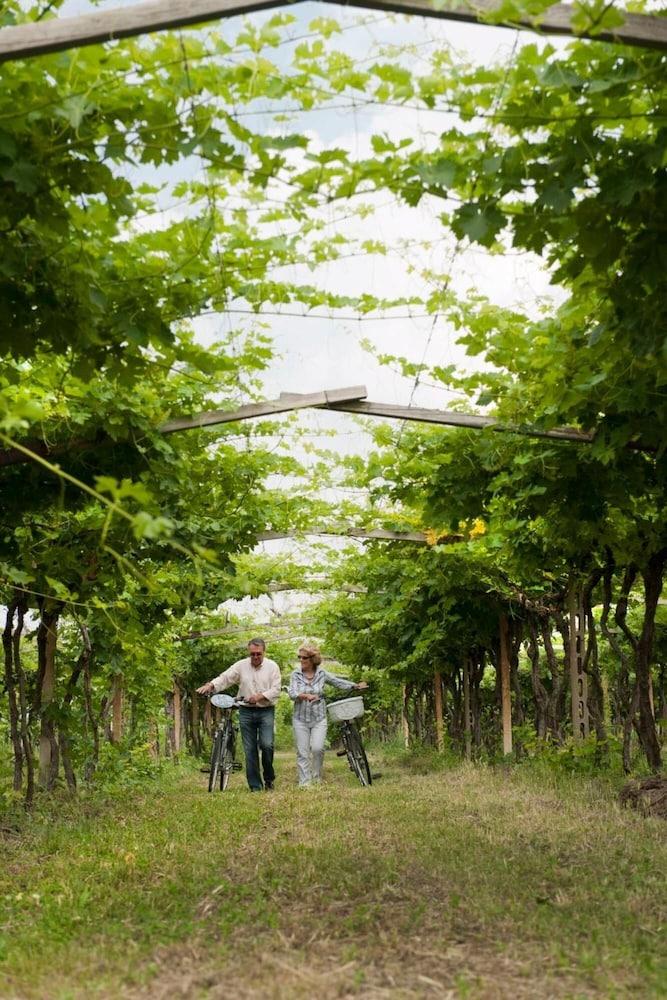 كانجراندي هوتل المنطقة المحيطة بالمنشأة