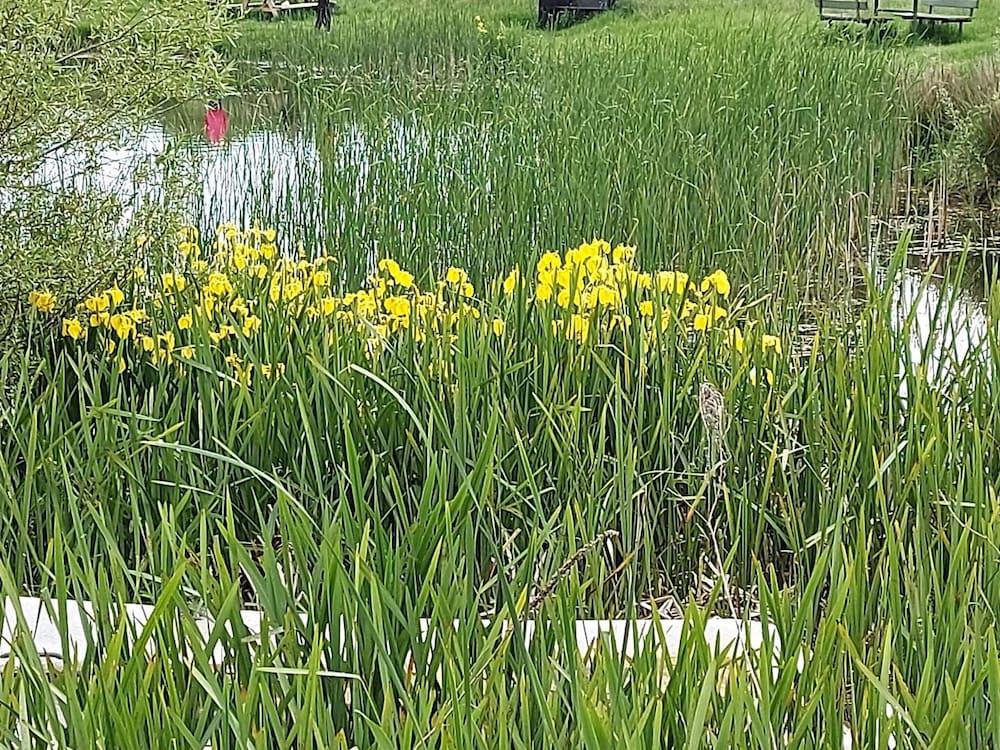 لاكشري سبا ريتريت باي سي - باي تراوم فيرينوونونجين المنطقة المحيطة بالمنشأة