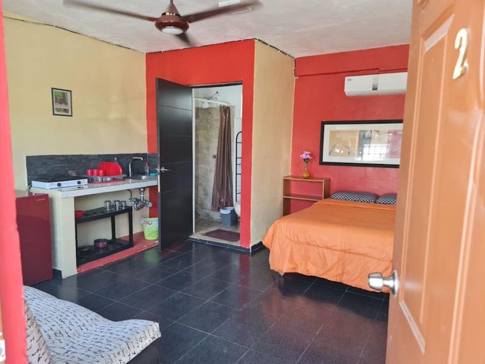 إنديبيندينت أبارتمنت وايفاي آك، ستوف، فريديغ  تفاي