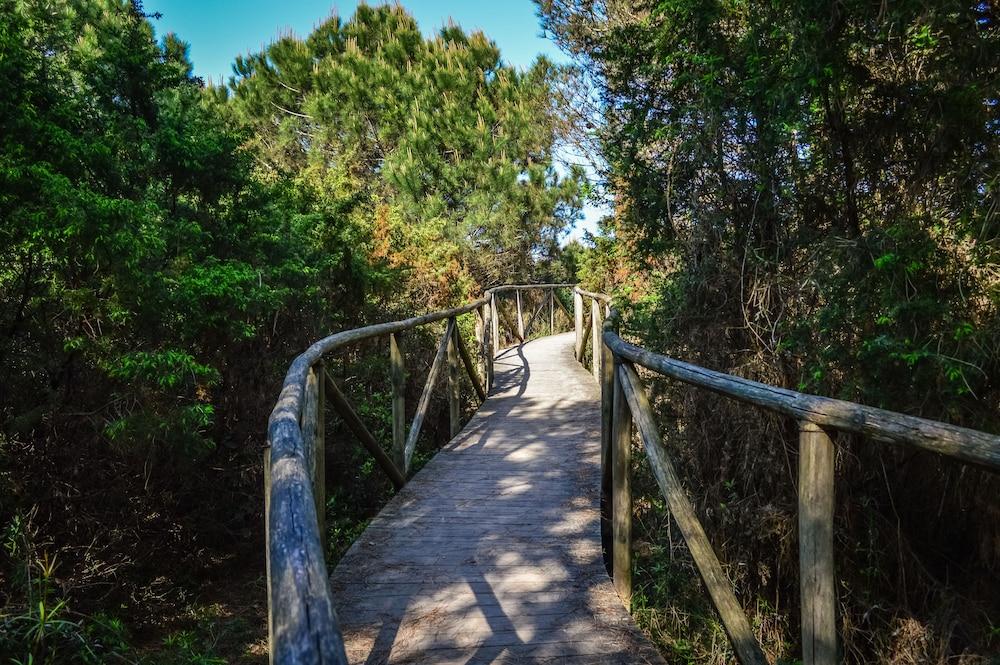 Spacious Flat in Rosolina for Your Holiday Exterior