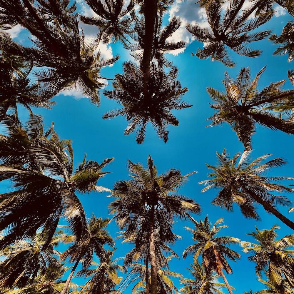 Wind Blend Kite Resort Exterior