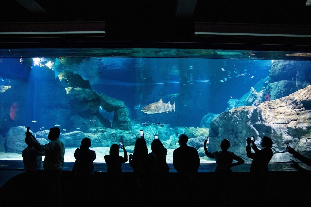 لابوردونيه ووترفرونت هوتل مركز أنشطة مائية