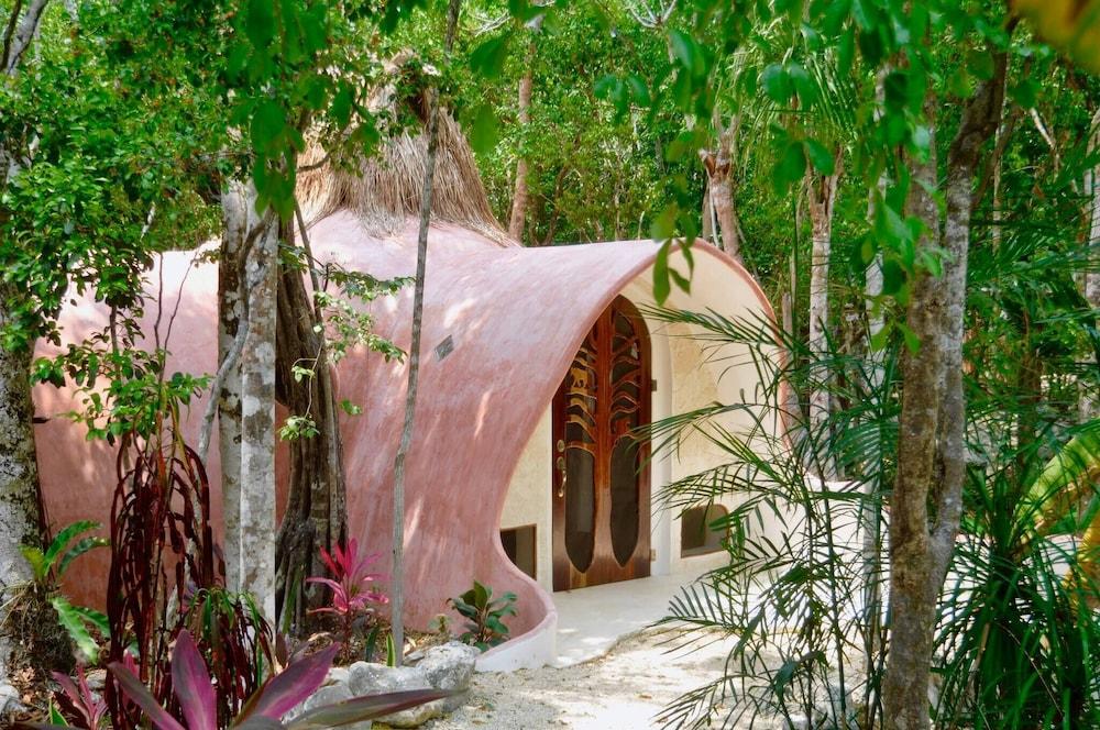 Room-unique Jungle Dome Kaa Featured Image