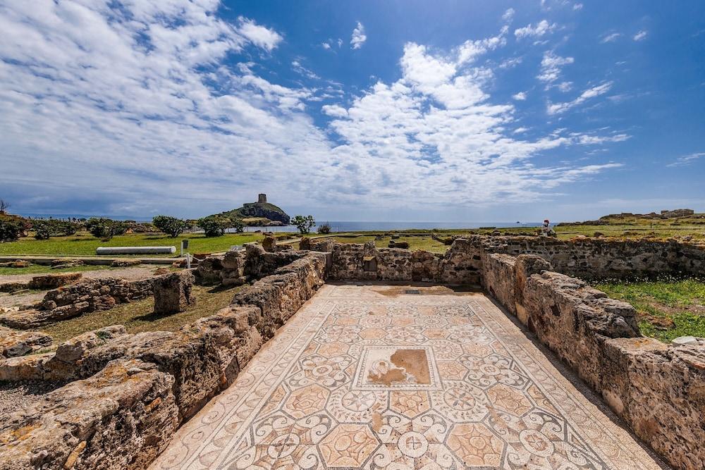 بايا ديلي بالمي بيلوكيل بريميوم المنطقة المحيطة بالمنشأة