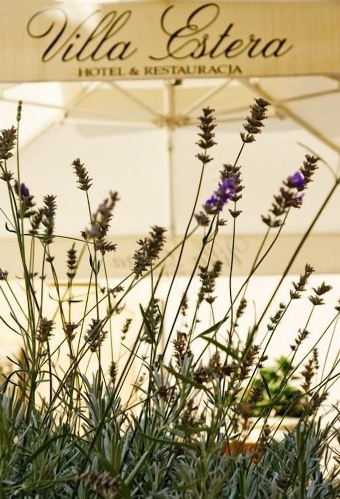 فيلا إستيرا - هوتل آند ريستاوراتسيا تفاصيل الفندق من الخارج