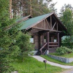 Tursib Featured Image