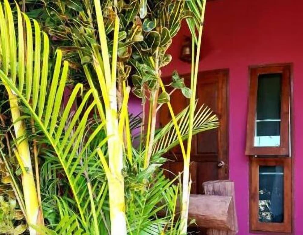 Bua Patumma Resort Exterior