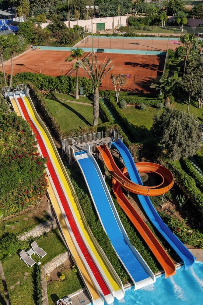 توي سونيو كنزي أوروبا