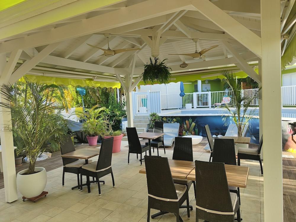 Majesty Palm Exterior