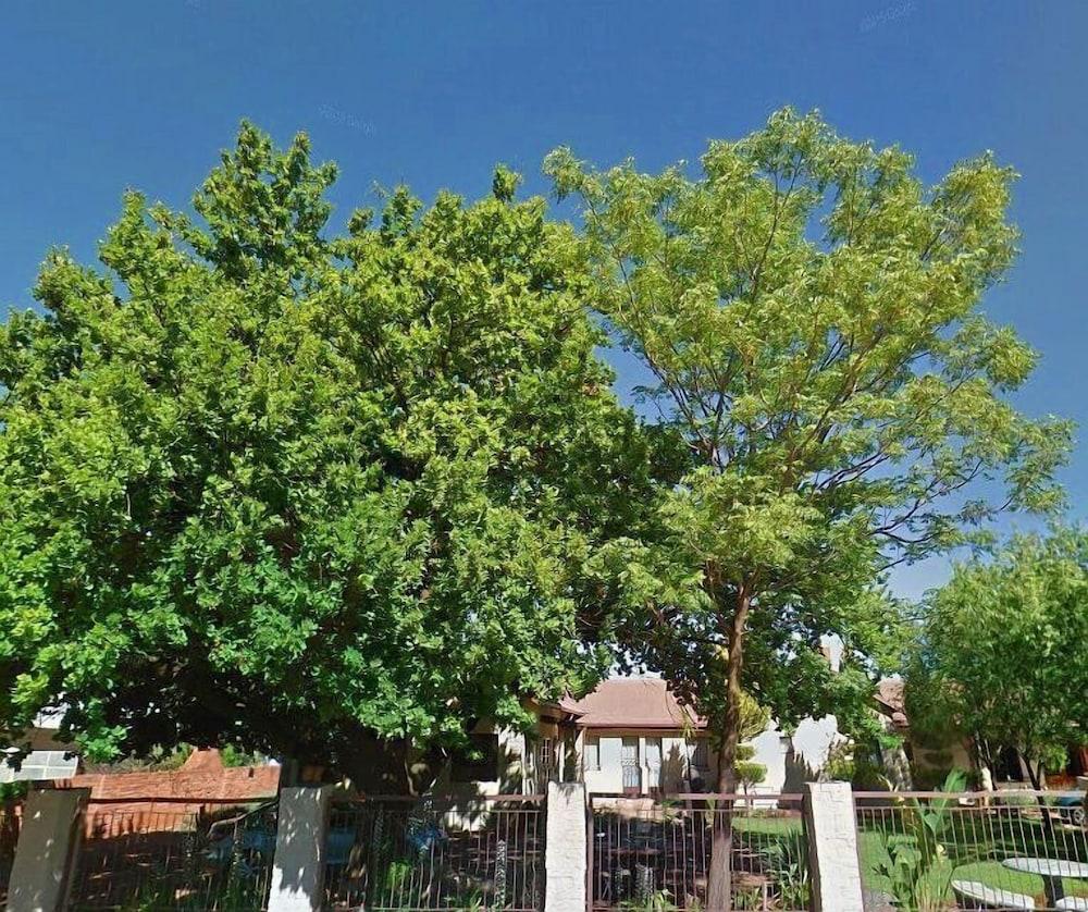 Oak Rest Guesthouse Exterior