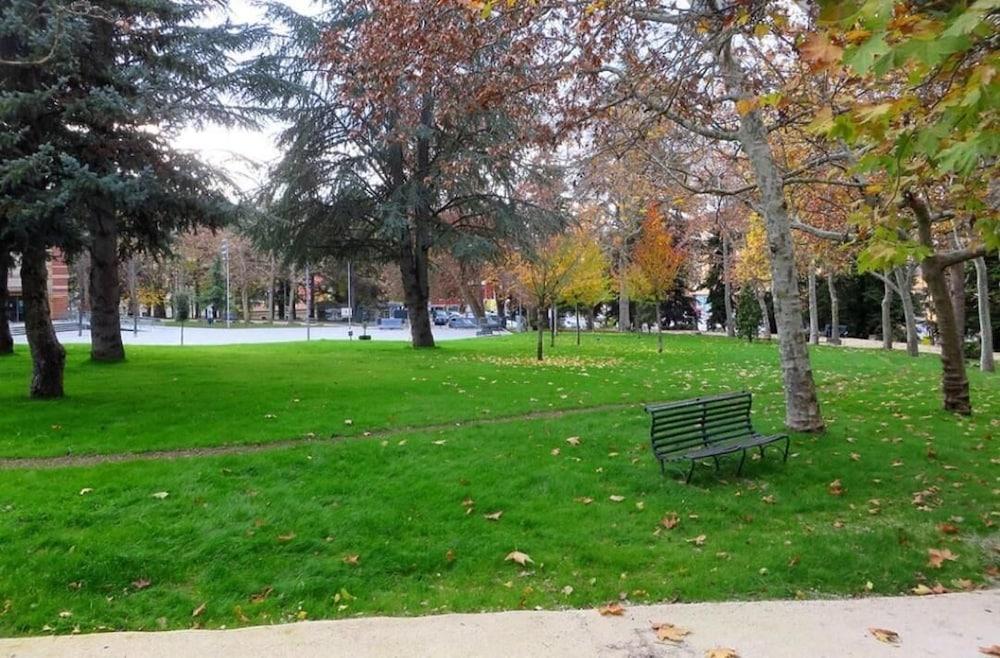بد آند بريكفاست ديل فيالي المنطقة المحيطة بالمنشأة