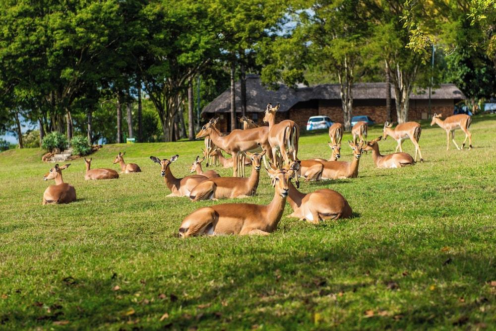 Kruger Park Lodge Unit No. 246 Exterior
