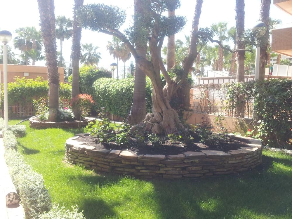 آيه سي في - آيلا بارك - 1 آيه ليينا بلانتا 5 سور