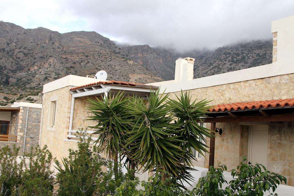 نيفيليز تراديشيونال سويت نمبر 12 المنطقة الخارجية