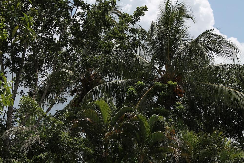 Asteria Studios Exterior