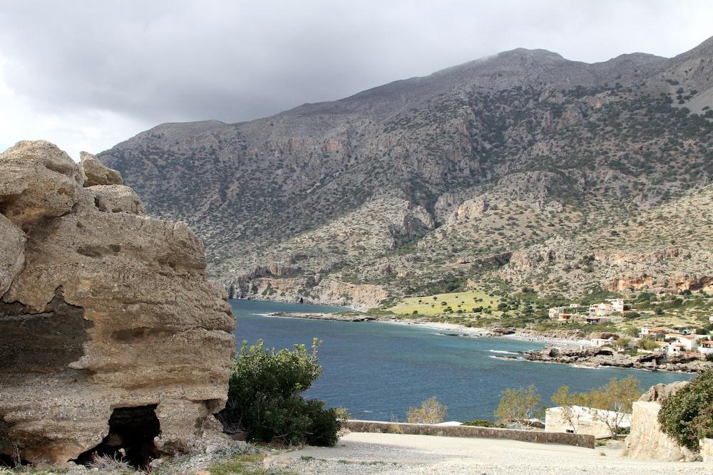 نيفيليز تراديشيونال سويت نمبر 12 الصورة الأساسية