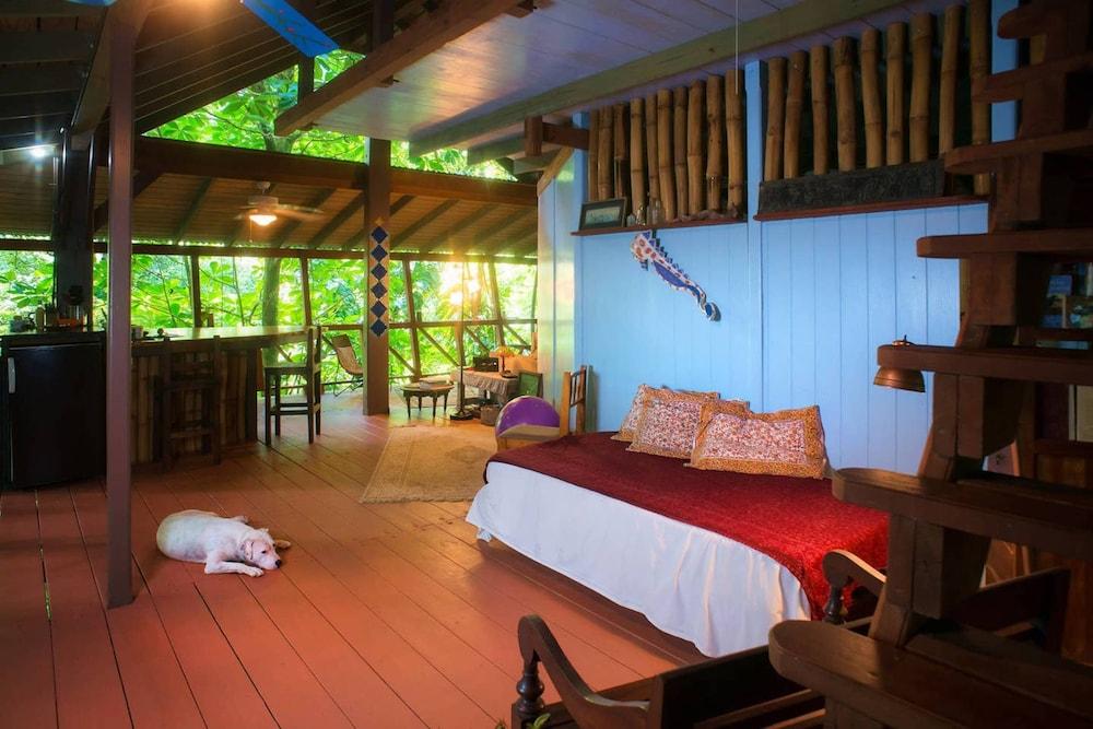 Cocoa Cottages Room