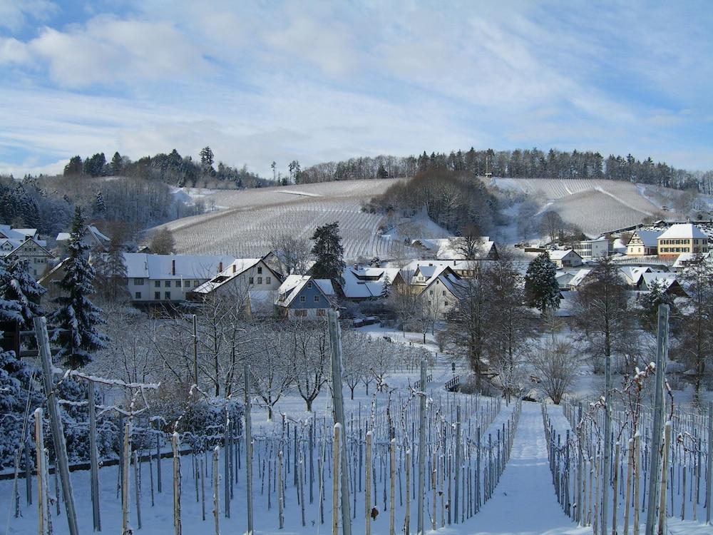 فاكس شوارزيدير هوف المنطقة الخارجية