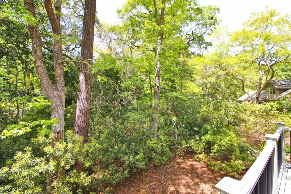 Forest Drive 13 Property Grounds