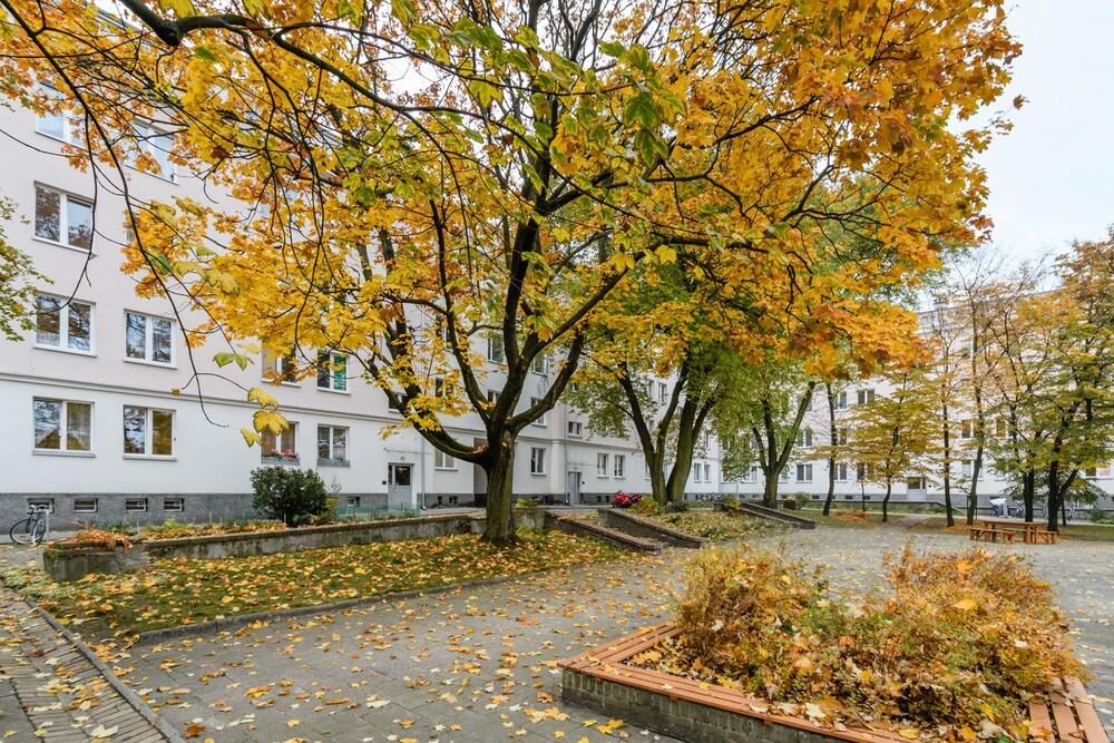 بي آند أو أبارتمنتس بلاتس ويلسونا المنطقة الخارجية