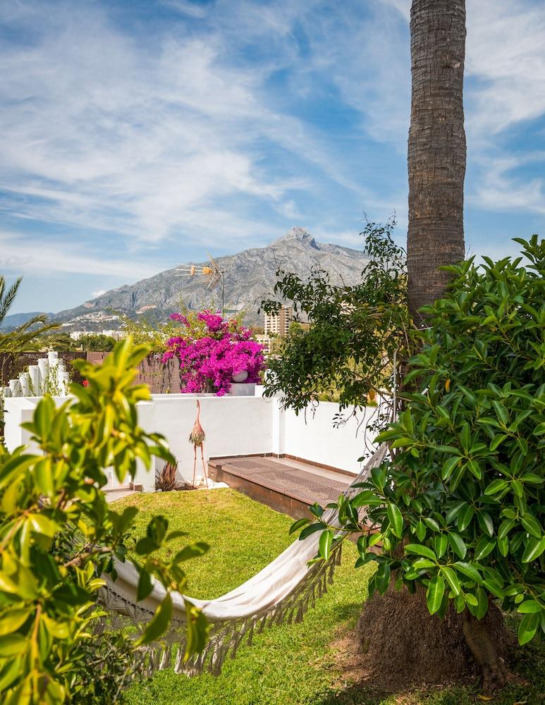 مولو لاكشري سويتس بويرتو بانوس المنطقة المحيطة بالمنشأة