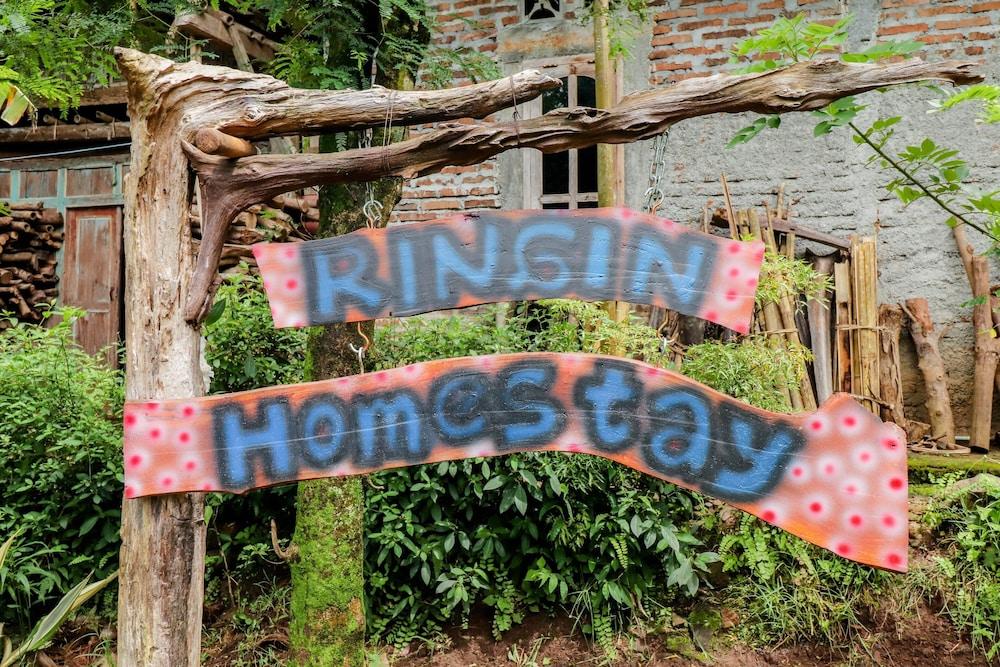 Ringin Guesthouse Exterior