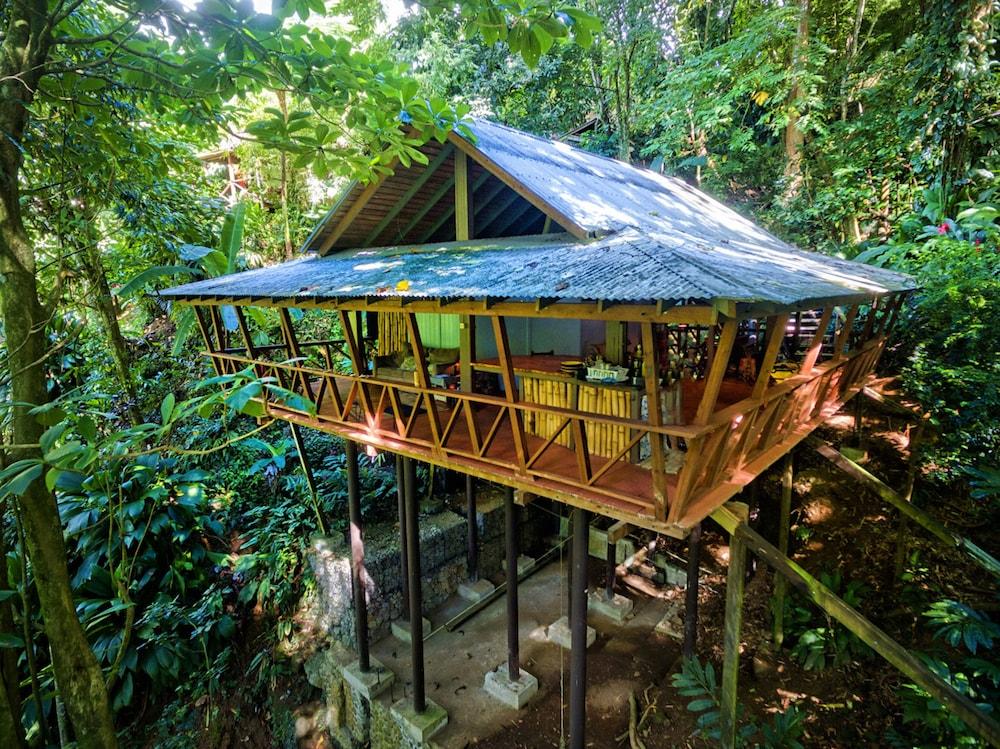Cocoa Cottages Room