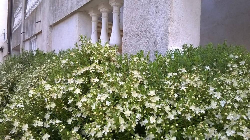 Agriturismo Vemi Exterior detail