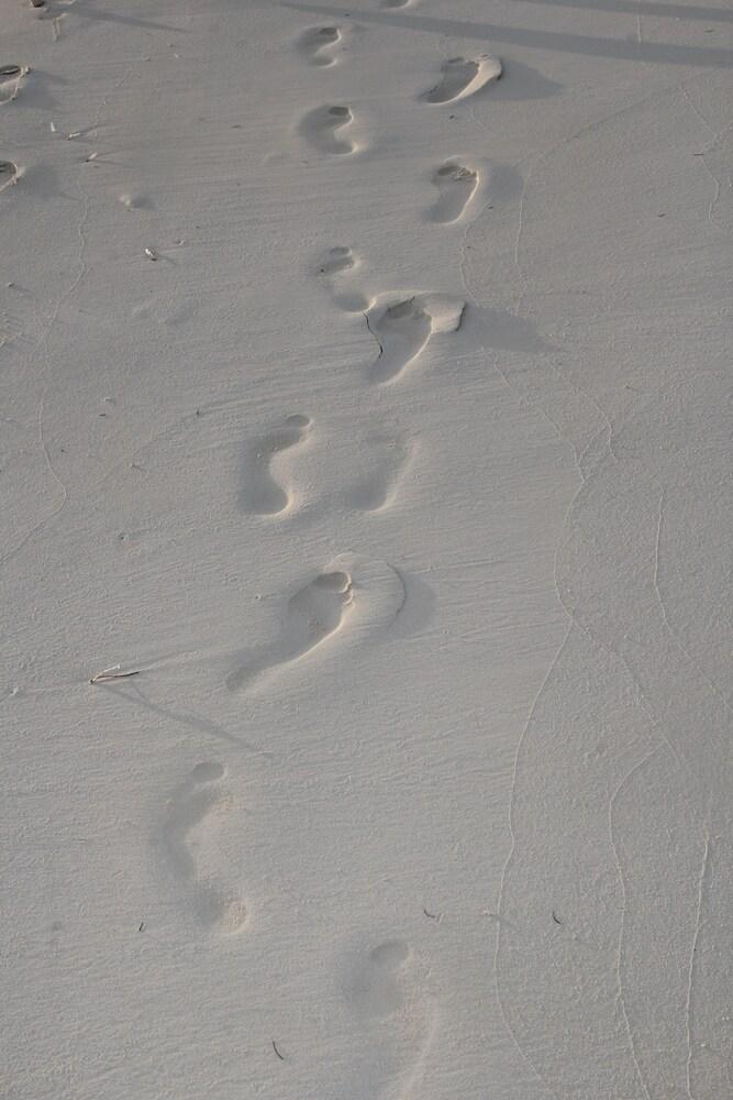 Fishtail Palms Exuma Beach