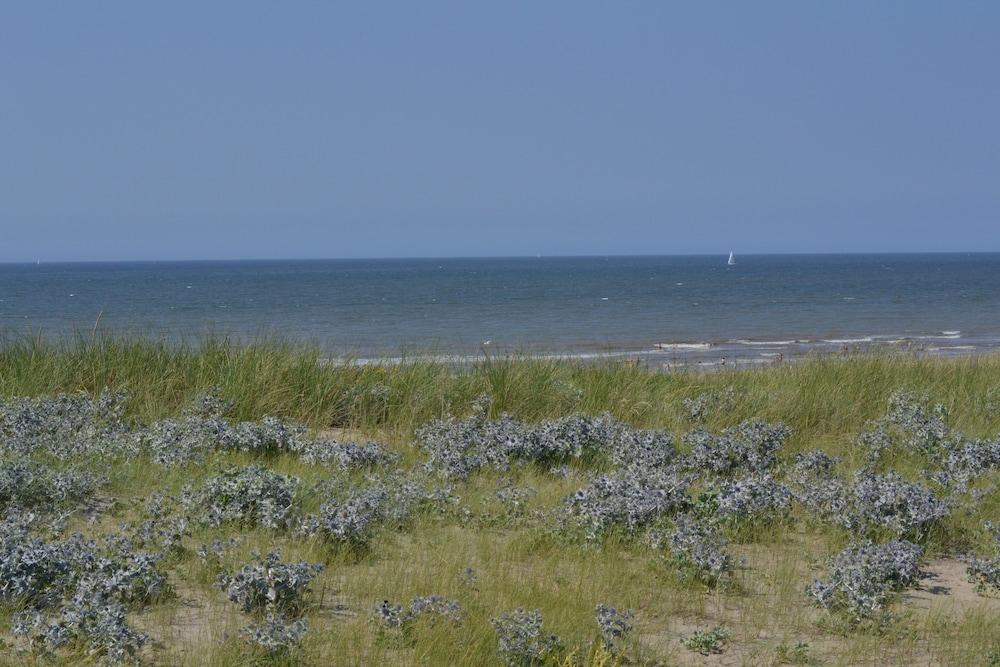 فلتشر بوتيك هوتل دوينورد الشاطئ