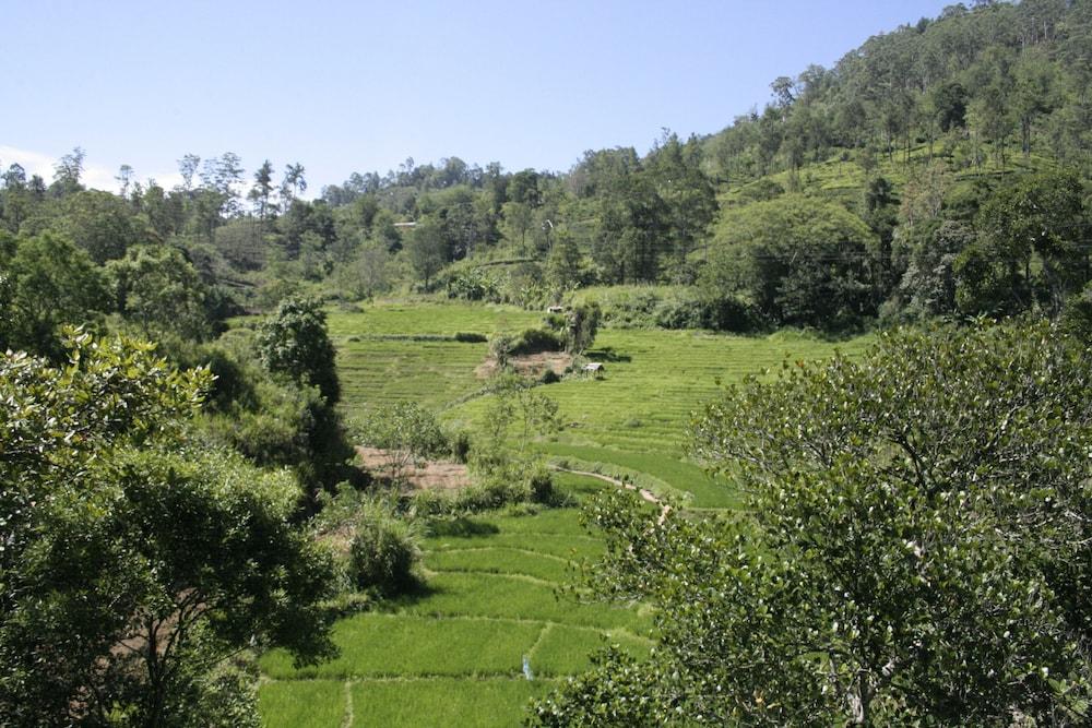 أيوبو إلا - بد آند بريكفاست منظر من الجو