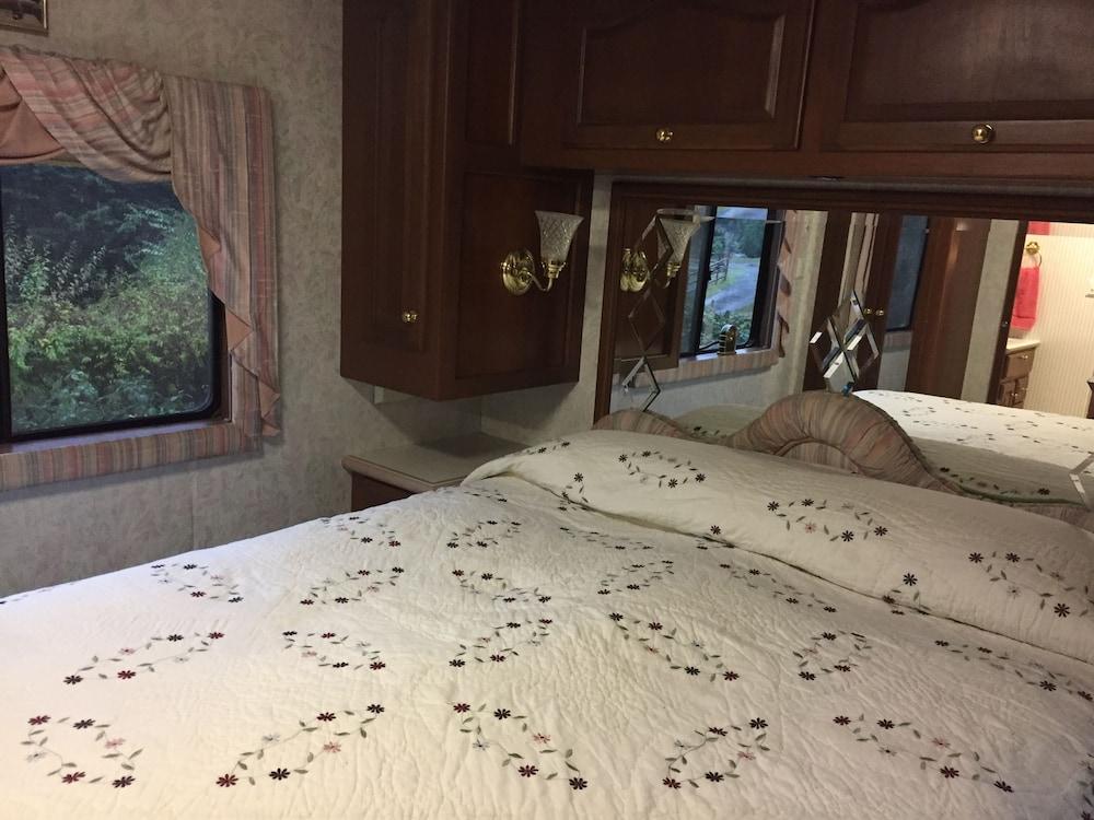 ذا جرايت إسكايب شيرلي ويذ هوت توب غرفة