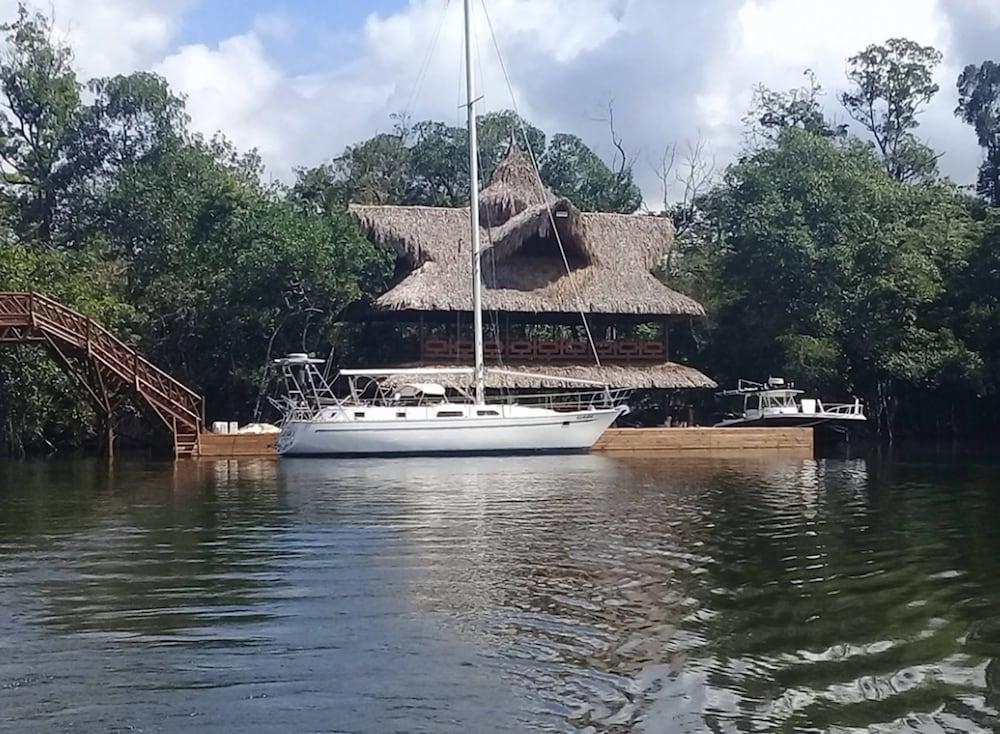 تيناميت مايا